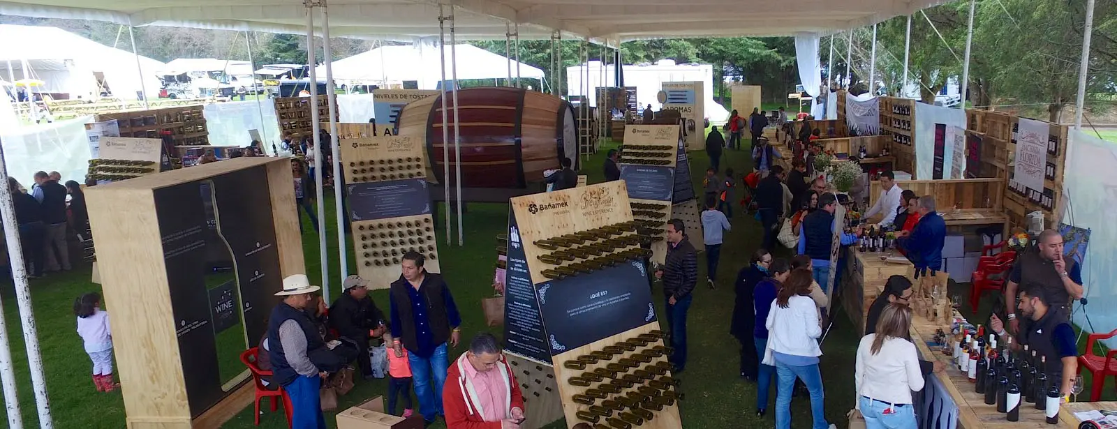 Carne de conejo saludable